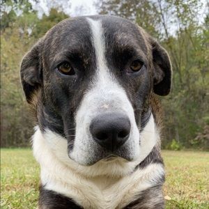 Meet your Posher, Kylar